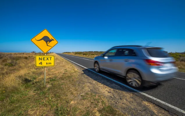 Silver SUV passing a kangaroo warning sign on an Australian country highway