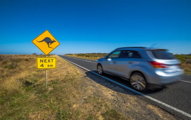 Silver SUV passing a kangaroo warning sign on an Australian country highway